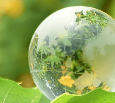 SDGs
