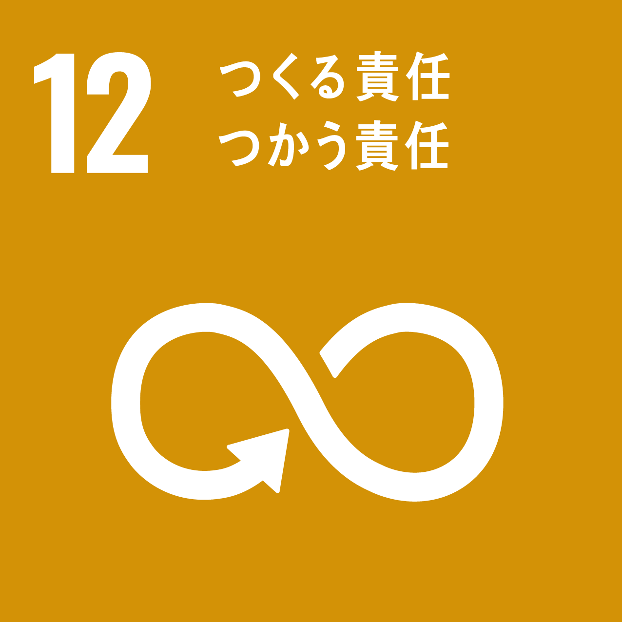 icon 12