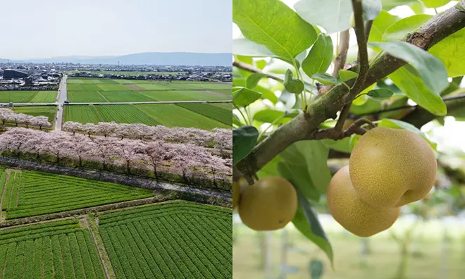 多様な商品やロケ撮影にも対応