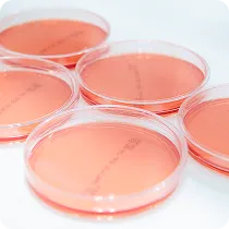 設備・動線・検査体制整備
