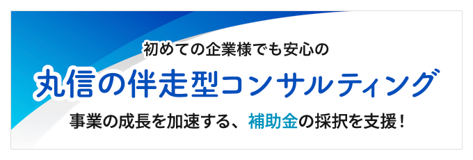 補助金-伴走型コンサルティング